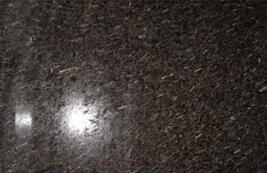 皇室啡米(mi)粒蘤