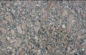 皇室啡玫瓌(gui)長蘤